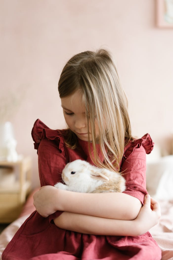 A young girl in a red dress gently cradles a fluffy pet rabbit indoors.