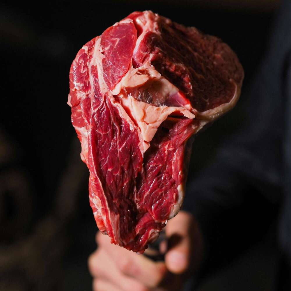 Fresh marbled beef steak being held, showcasing rich texture and red meat details.